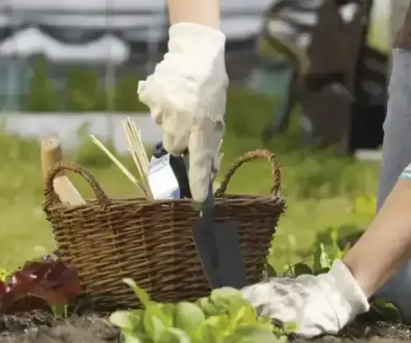 Garden Tools